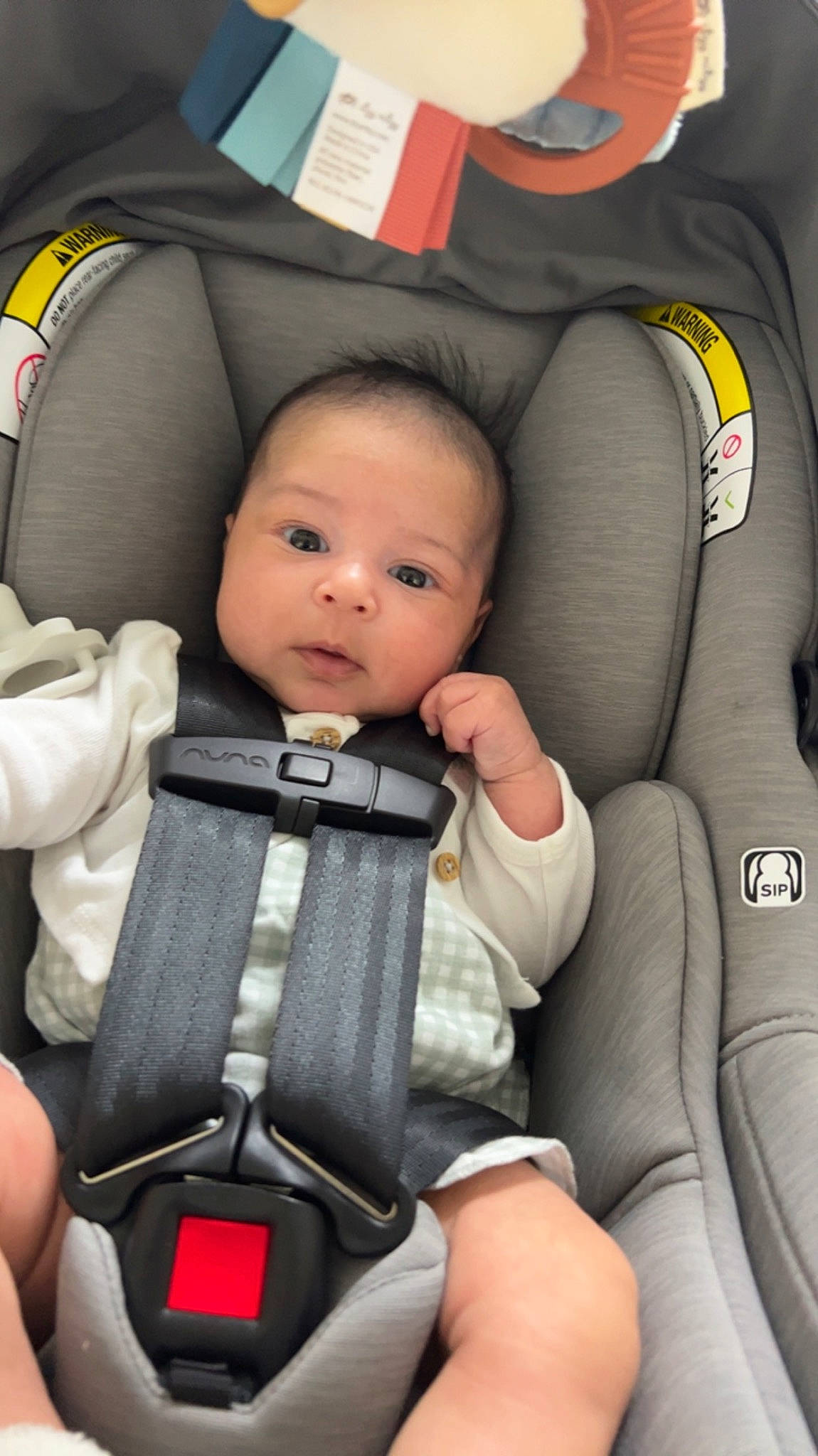 Delilah joined the competition — help win amazing prizes! auto_part, automotive_design, baby, baby_carriage, baby_products, baby_safety, baby_toddler_clothing, car_seat, car_seat_cover, child, comfort, face, finger, head_restraint, human, motor_vehicle, person, product, seat_belt, sitting