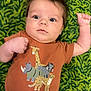 baby, infant, child, green_carpet, brown_shirt, cartoon_animals, giraffe, rhino, cheetah, warthog, camo_pants, raised_arm, wide_eyes, lying_down, cute, indoor, patterned_background, casual_clothing, portrait, young_child
