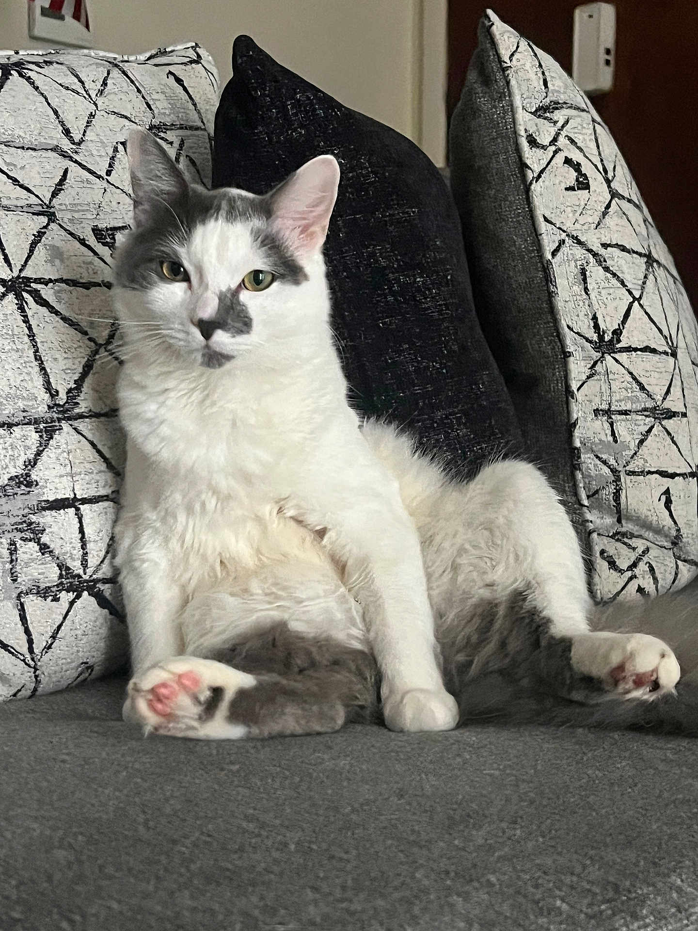 Prince