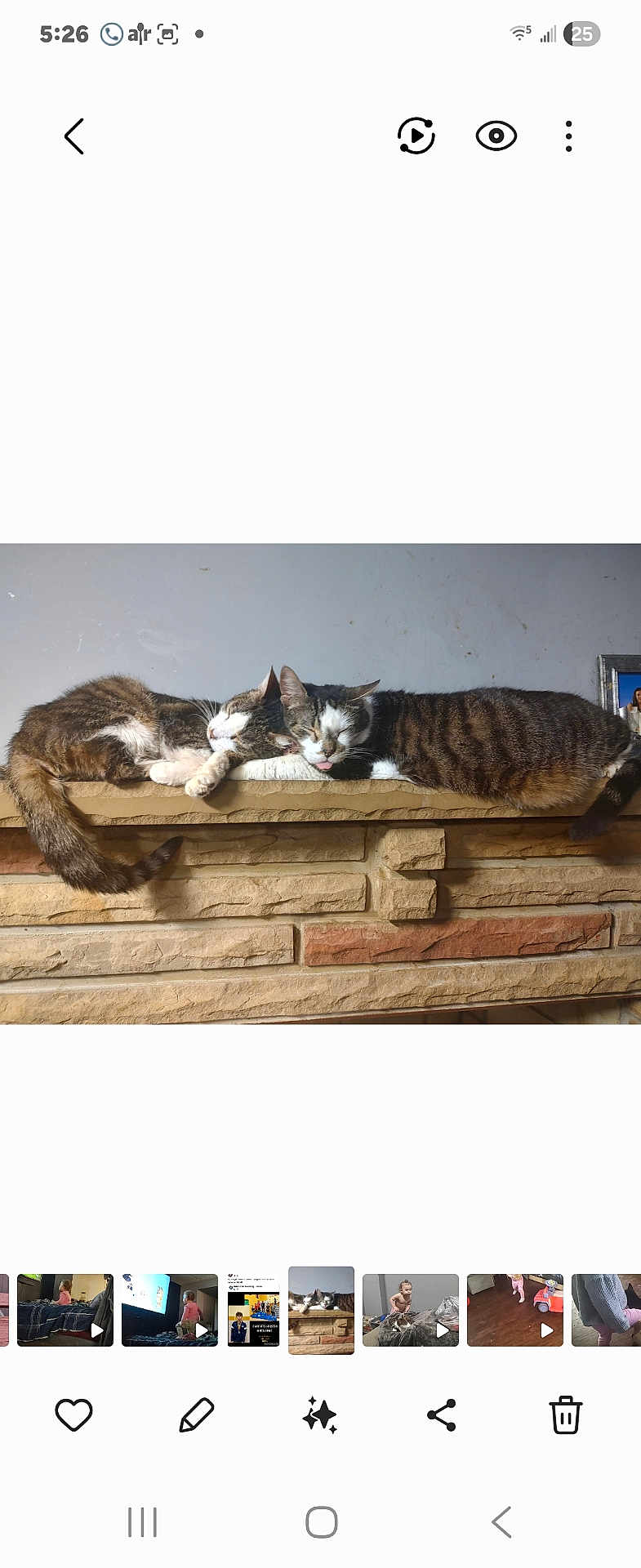 Monster And George is registered to the contest to win money with this photo: cat, sleeping, tabby_cat, tongue_out, stone_wall, ledge, indoor, pet, animal, feline, resting, cute, cozy, two_cats, nap, fur, whiskers, tail, relaxed, domestic