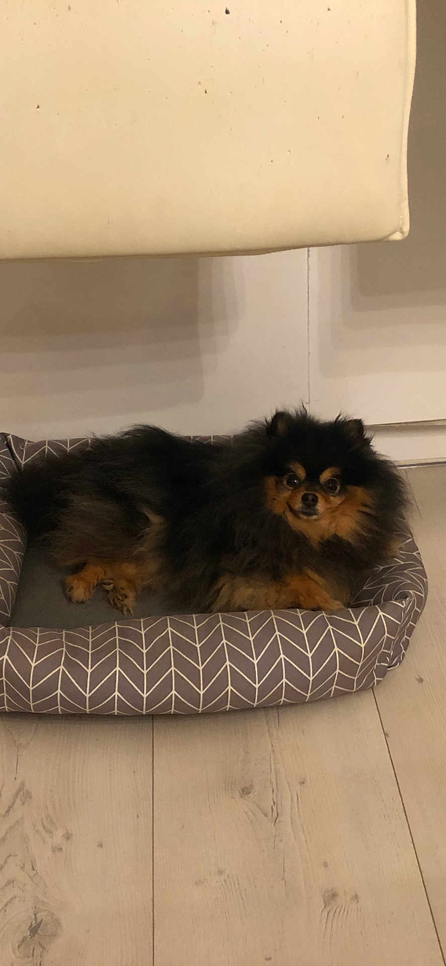 Billie