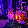 chair, clutter, colorful_lighting, dog, domestic, floor, furniture, household_items, indoor, lamp, orange_lighting, pet, purple_lighting, room, shadow, shelf, sitting, snacks, table, window