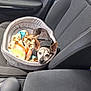 dog, pet_bed, blanket, car_seat, small_dog, relaxed, sleepy, interior, car, seatbelt, fabric, cozy, animal, canine, resting, companion, transport, travel, modern, comfort