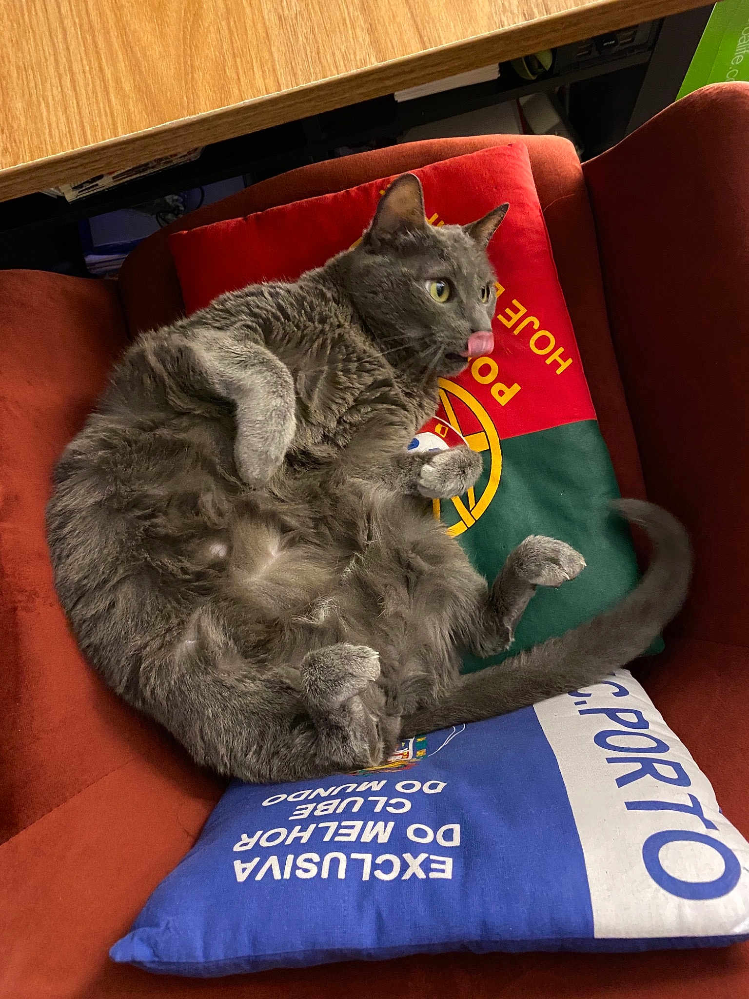 Maia