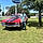 Holden S.