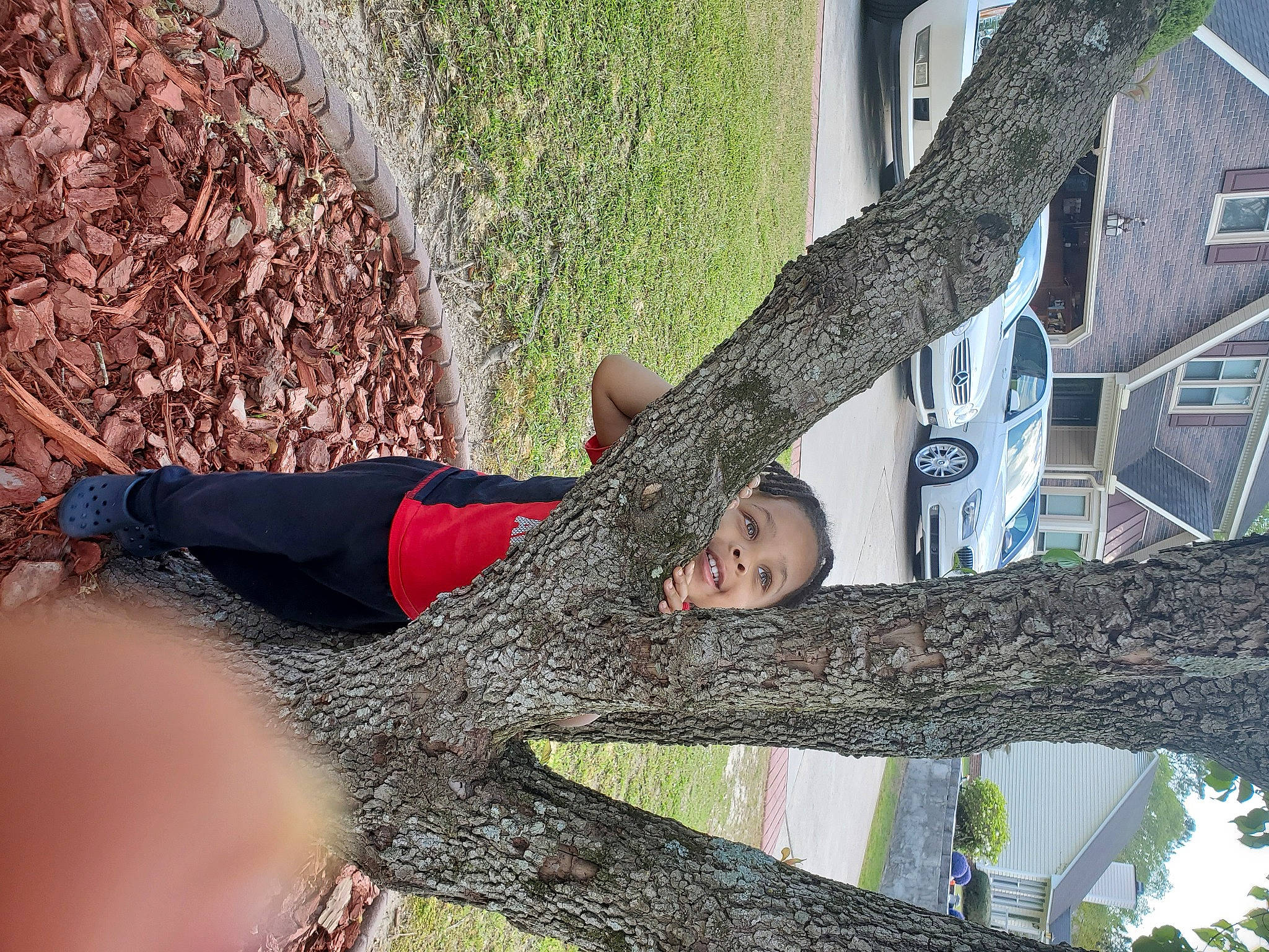 Kyree joined the competition — help win amazing prizes! branch, joy, leg, person, plant, thigh, tree, trunk, woody_plant