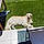 Arlo