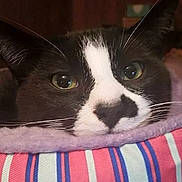 Mr Mustachio joined the competition — help win amazing prizes!