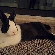 Louise is registered to the contest to win money with this photo: