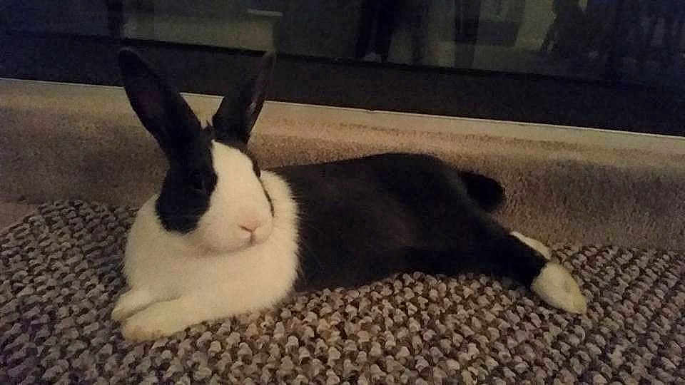 Louise