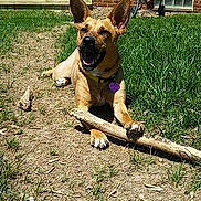 Gracie Lou joined the competition — help win amazing prizes!