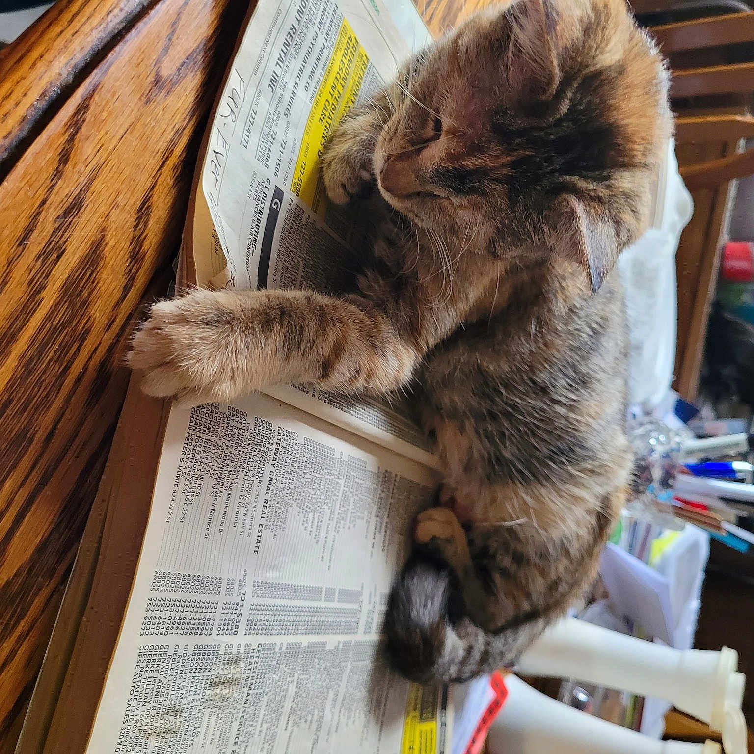 Purrsy