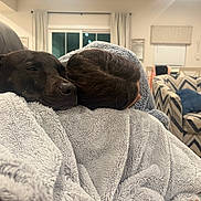 Juju is registered to the contest to win money with this photo: dog, person, sleeping, cuddling, blanket, fleece, cozy, indoors, living_room, couch, chair, pillow, home, relaxation, nap, brown_dog, pet, warm_lighting, portrait, comfort