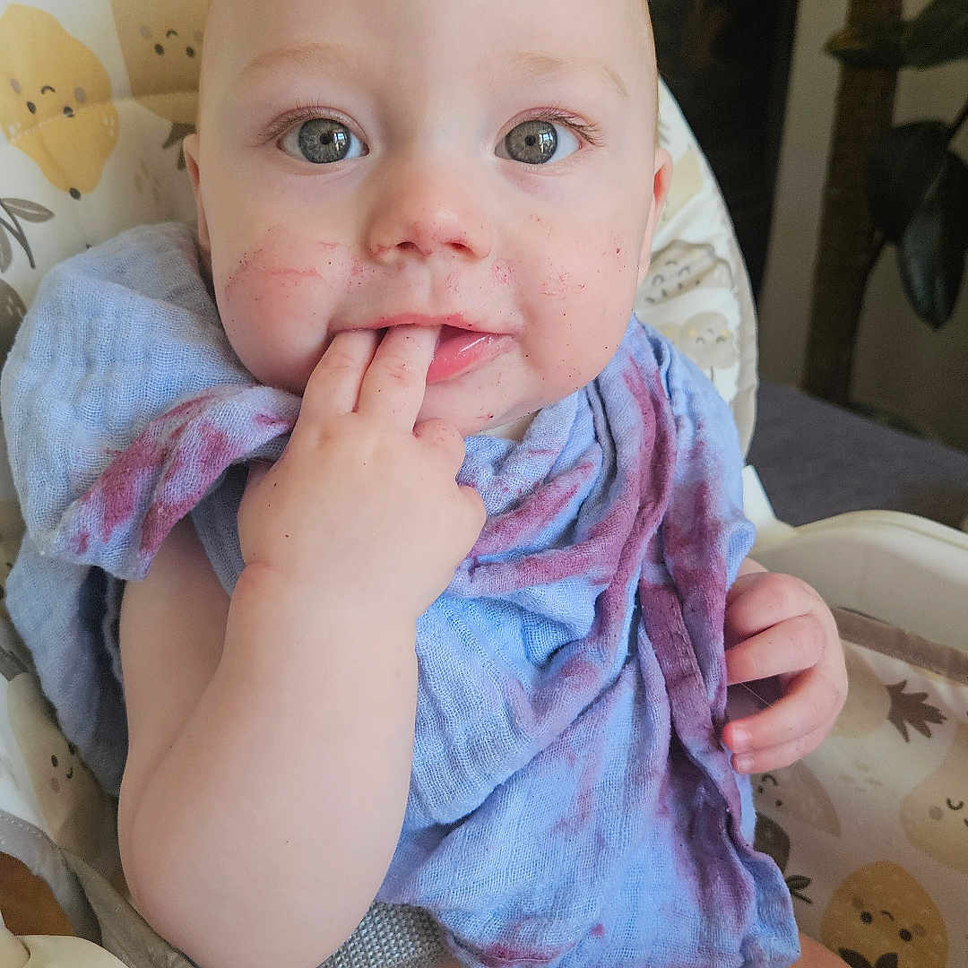 Kas is registered to the contest to win money with this photo: baby, blue_cloth, child, closeup, cushion, cute, expression, face, fingers_in_mouth, hand, high_chair, indoor, infant, messy_face, pattern, person, plant, purple_stain, seatbelt, young_child