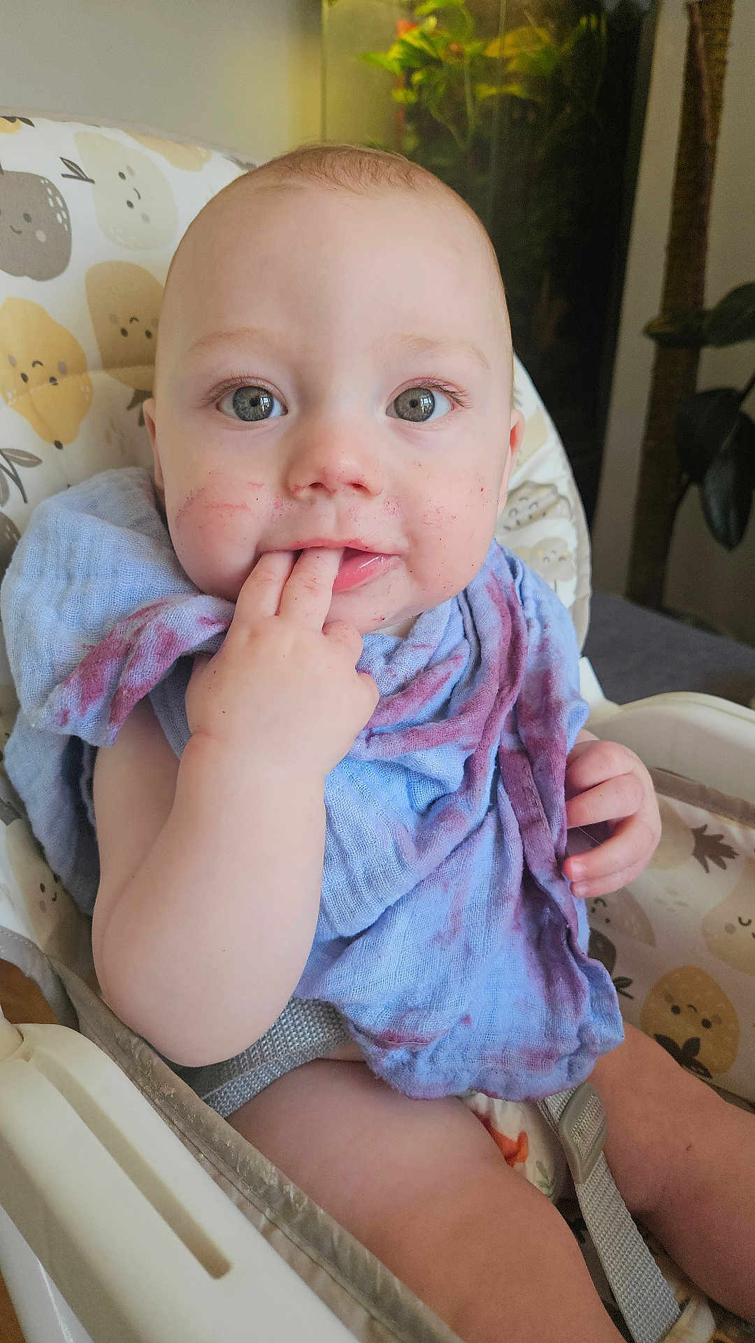 Kas is registered to the contest to win money with this photo: baby, infant, high_chair, face, hand, blue_cloth, purple_stain, indoor, plant, cushion, pattern, seatbelt, child, cute, messy_face, fingers_in_mouth, closeup, person, young_child, expression