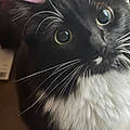 Sophia F.