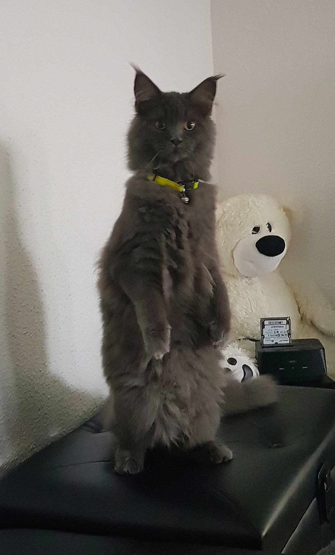 Oméga
