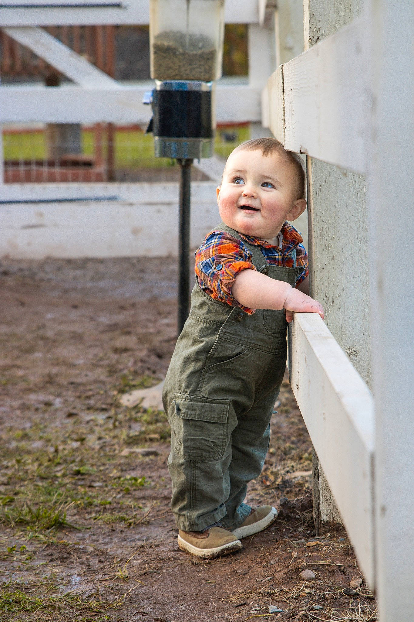 Austin joined the competition — help win amazing prizes! baby, baby_toddler_clothing, child, concrete, flooring, fun, grass, happy, leaf, leisure, person, portrait_photography, road_surface, sitting, smile, soil, standing, t_shirt, toddler, vacation