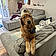 Cooper