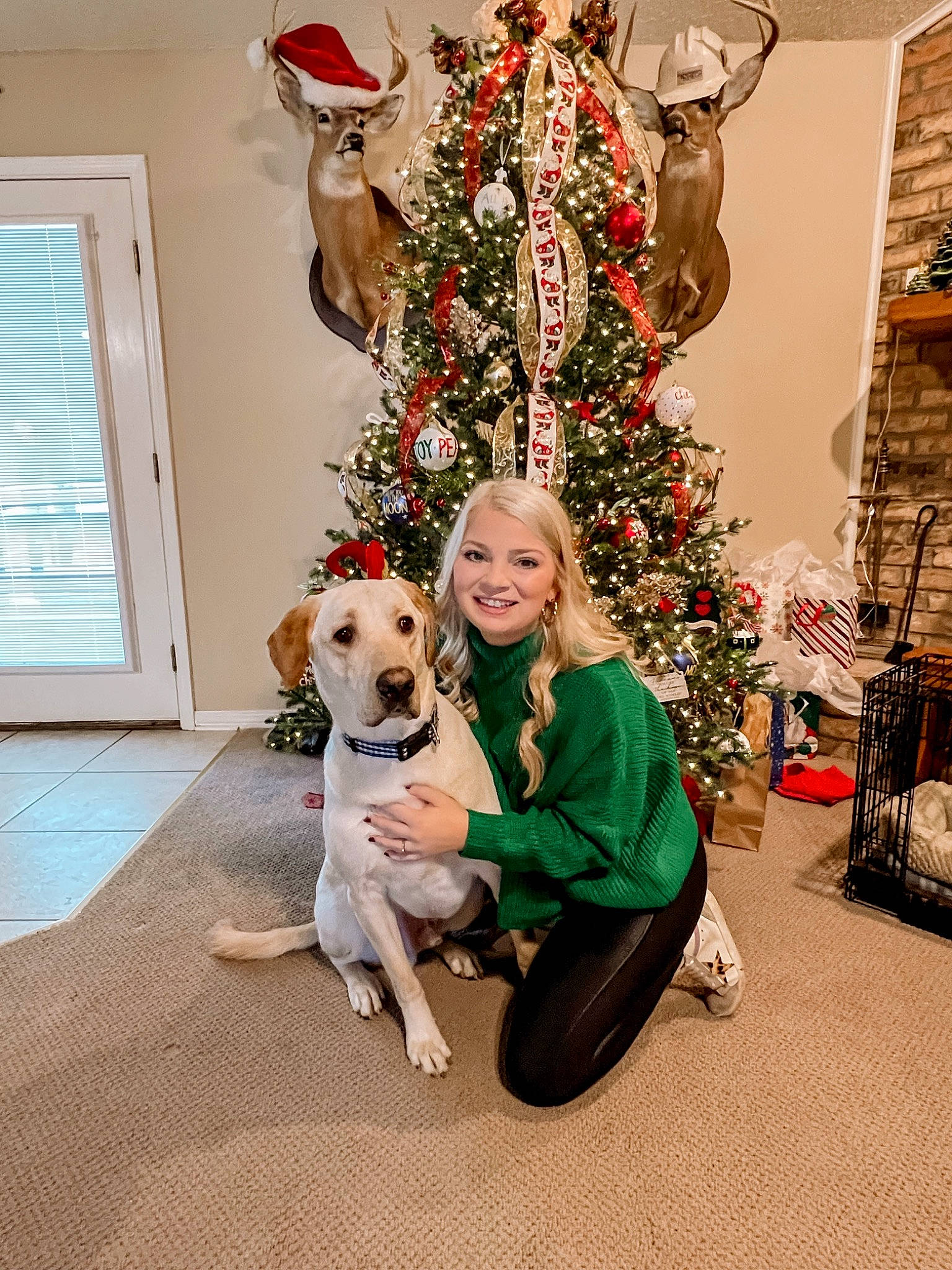 Duke joined the competition — help win amazing prizes! carnivore, christmas, christmas_decoration, christmas_ornament, christmas_tree, companion_dog, dog, dog_breed, event, fawn, flooring, fur, happy, holiday, holiday_ornament, ornament, santa_claus, smile, tree, window_blind