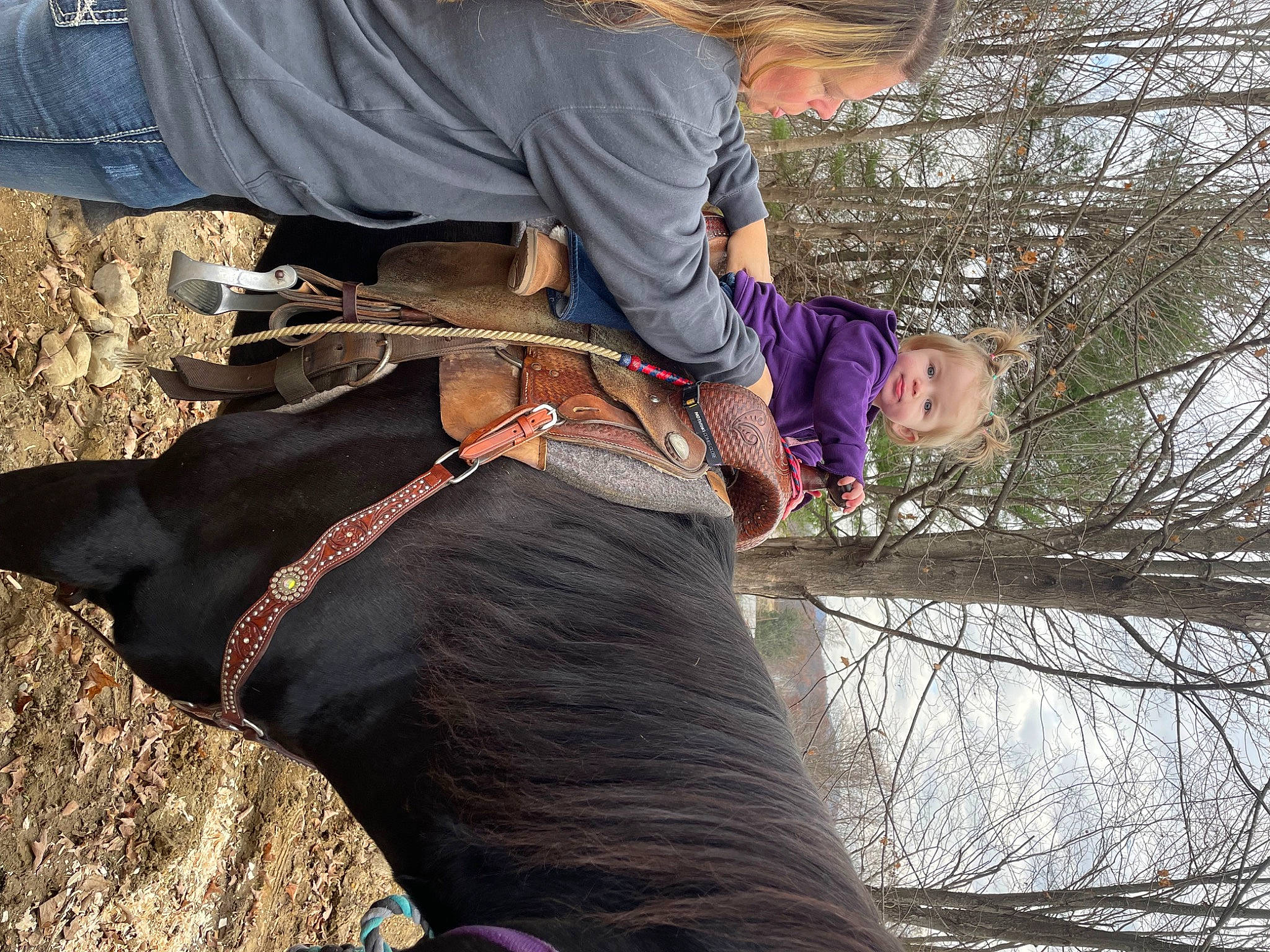 Octavia joined the competition — help win amazing prizes! animal_sports, boot, bovine, bridle, canidae, carnivore, collar, dog_breed, dog_hiking, elephant, fur, horse_supplies, horse_tack, leash, pack_animal, person, recreation, sporting_group, terrestrial_animal, tree