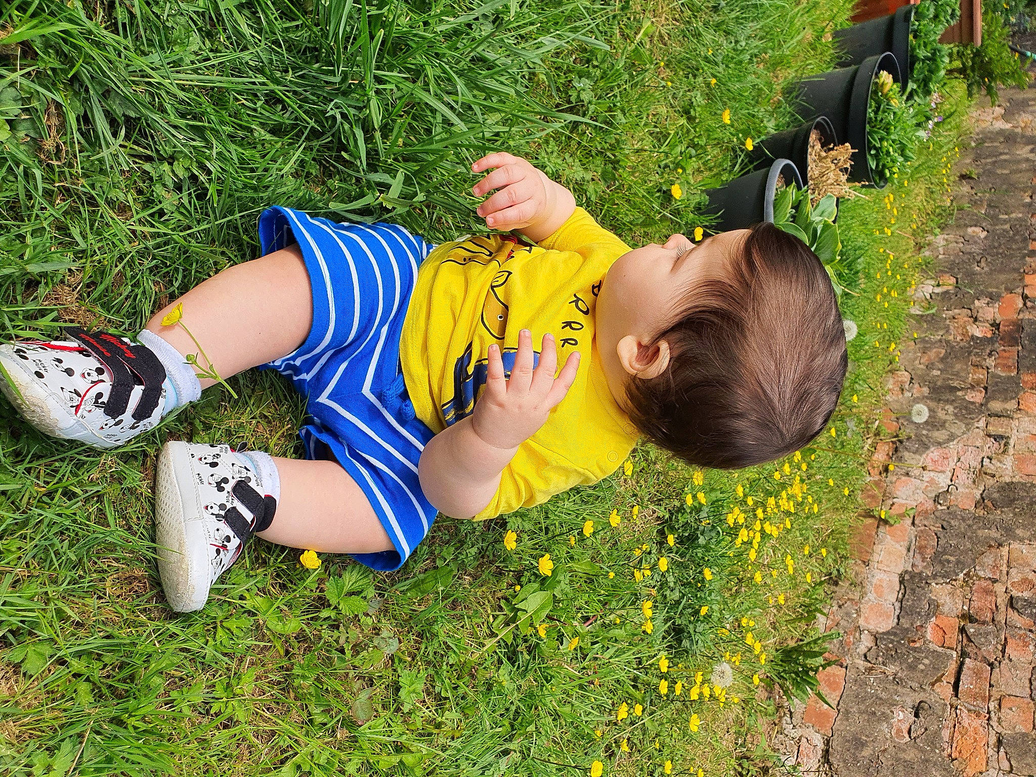 My Love joined the competition — help win amazing prizes! child, fun, grass, grass_family, green, happy, human_leg, lawn, leaf, leg, leisure, meadow, people_in_nature, person, photography, plant, play, spring, thigh, tree