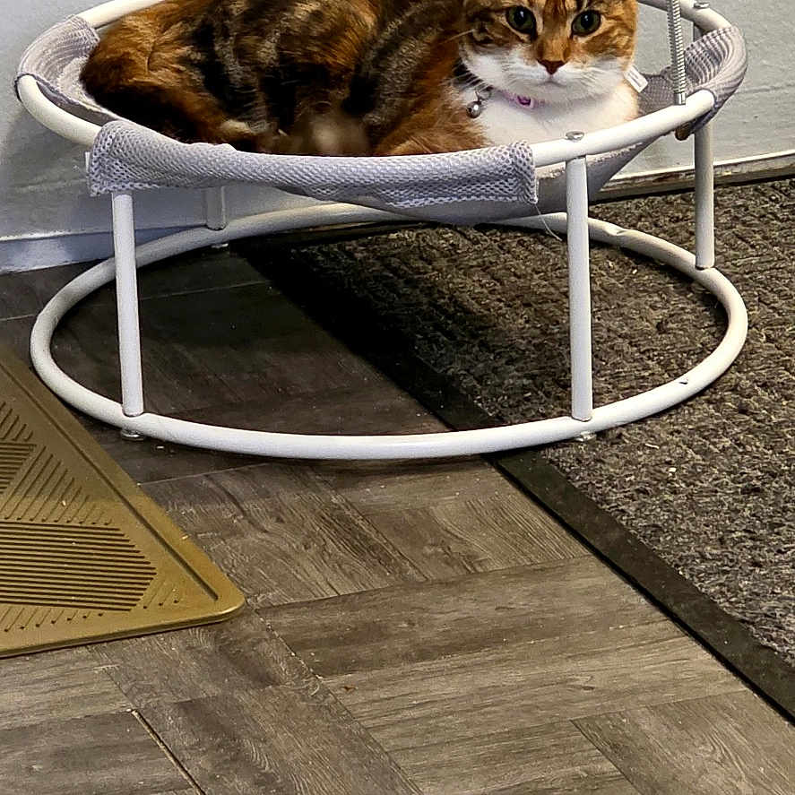 Lucy