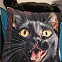 black_cat, cat, pillow, couch, indoor, whiskers, yellow_eyes, fur, pet, animal, expression, face, closeup, texture, home, soft_furniture, cute, resting, domestic_cat, playful