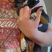 Lil Bit is registered to the contest to win money with this photo: accessory, affection, animal, black_dog, brown_dog, calm, cute, dog, fashion, glasses, hand, holding, indoor, patterned_shirt, person, pet, pink_vest, shirt, small_dog, white_paw