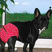 Happy participe au concours pour gagner de l'argent avec cette photo :