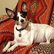 Sam is registered to the contest to win money with this photo: