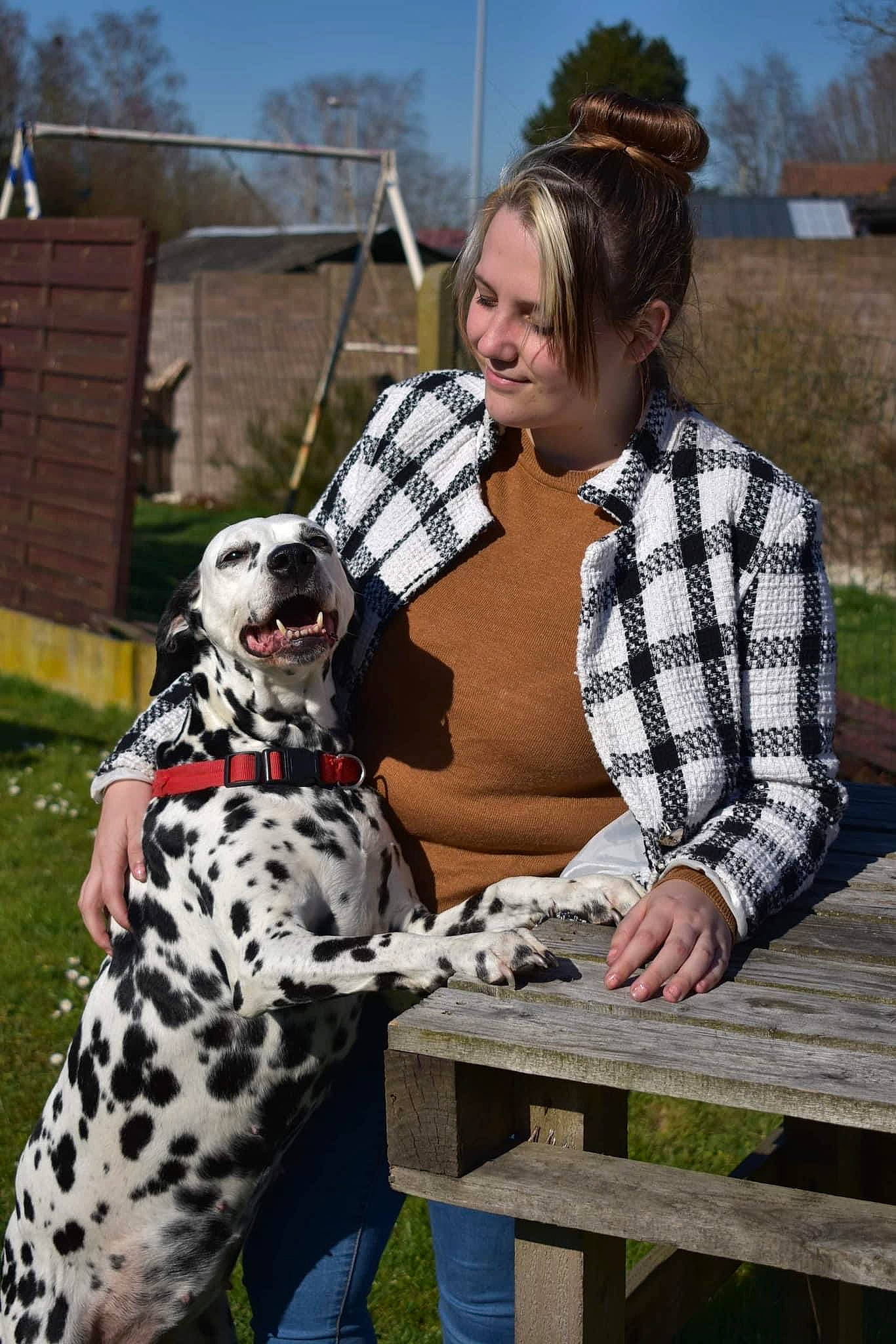 Laika participe au concours pour gagner de l'argent avec cette photo : canidae, carnivore, companion_dog, dalmatian, dog, dog_breed, fawn, fun, fur, grass, happy, leisure, mammal, pattern, recreation, sitting, sky, smile, tartan, tree