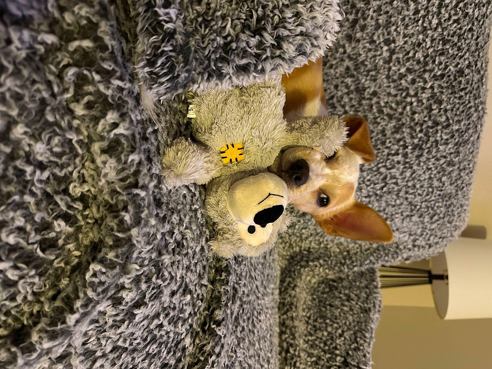 Arlo joined the competition — help win amazing prizes! birdhouse, branch, fawn, fur, natural_material, organism, pattern, plant, plush, shelf, stuffed_toy, textile, toy, tree, trunk, twig, wildlife, wood, wool