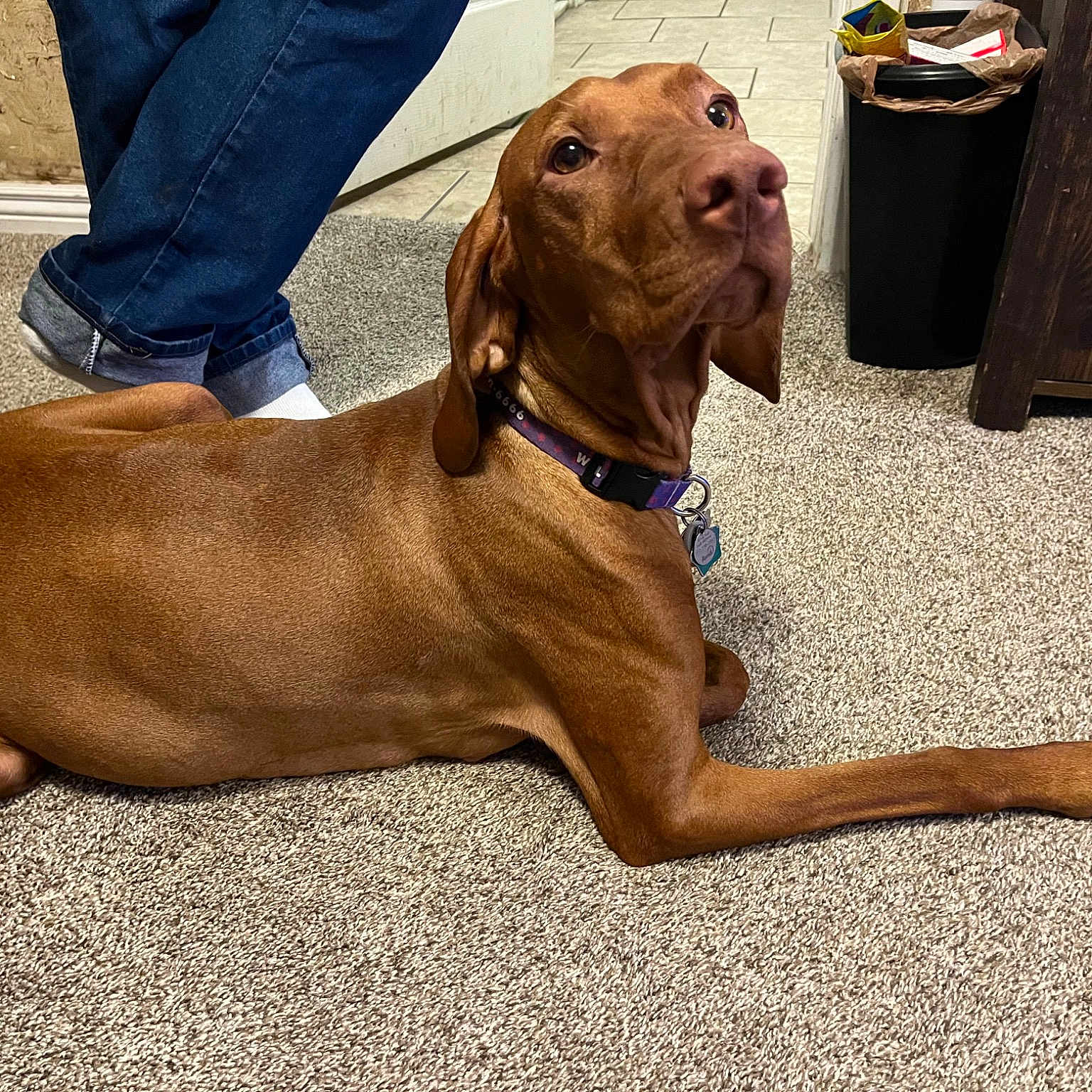Willow