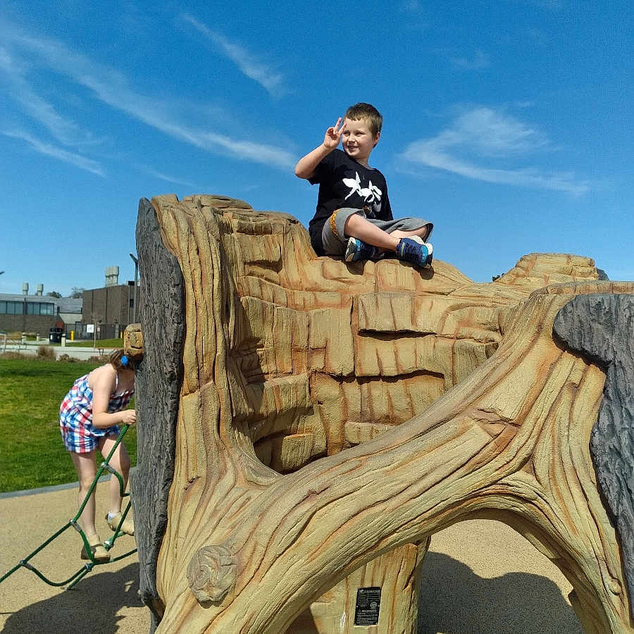 Jeremy joined the competition — help win amazing prizes! boy, child, clothing, face, footwear, grass, head, male, nature, outdoors, park, person, photography, plant, portrait, shoe, shorts, sitting, tree, wood
