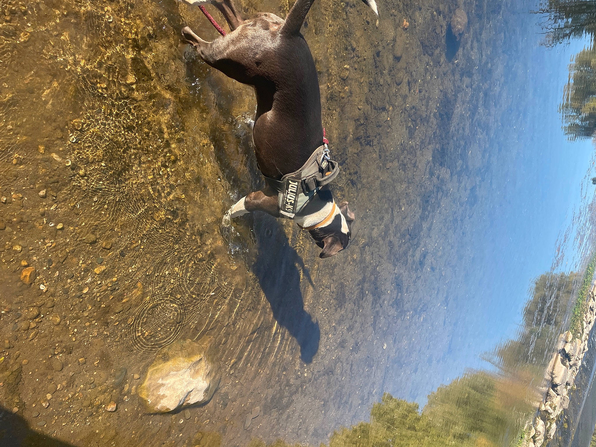 Nestta participe au concours pour gagner de l'argent avec cette photo : adventure, aerial_photography, air_sports, extreme_sport, fun, jumping, landscape, recreation, rock, shadow, sky, soil, sport_climbing, sports, terrestrial_animal, tree, water, wildlife, working_animal
