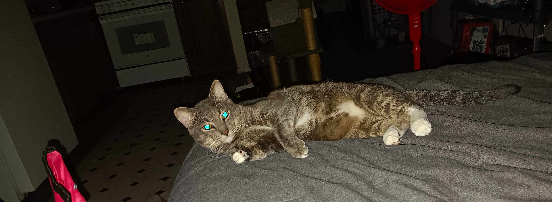 Stormy