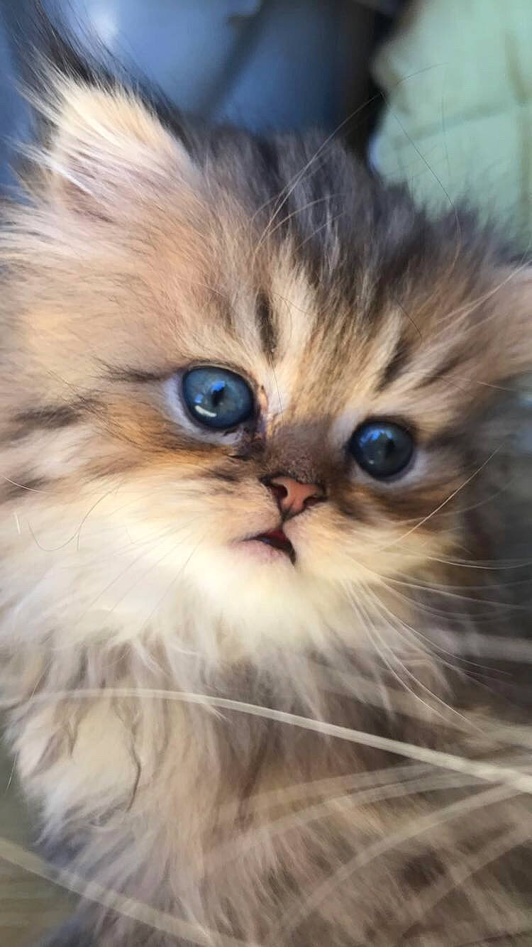 Ragnar