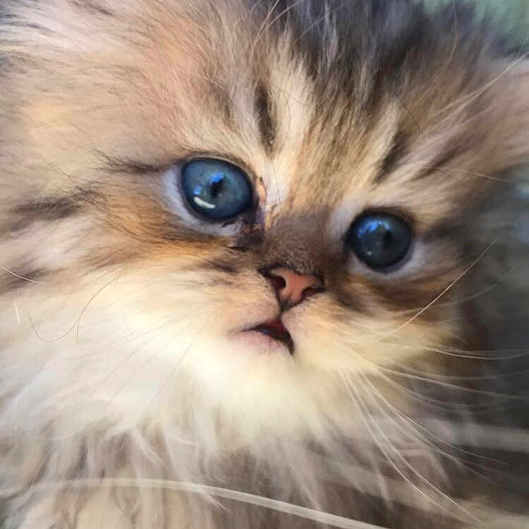 Ragnar