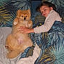 bed, blanket, child, comfort, cozy, cute, dog, face, fur, furball, hand, home, indoors, pattern, paw, pillow, relaxation, resting, sleeping, snuggle