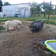 Praline Amp Bertylle participe au concours pour gagner de l'argent avec cette photo :