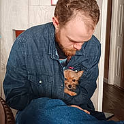 Wolfie is registered to the contest to win money with this photo: adult, animal, canine, clothing, couch, dog, face, furniture, head, jeans, male, man, pants, person, pet, photography, portrait, puppy, sitting, terrier