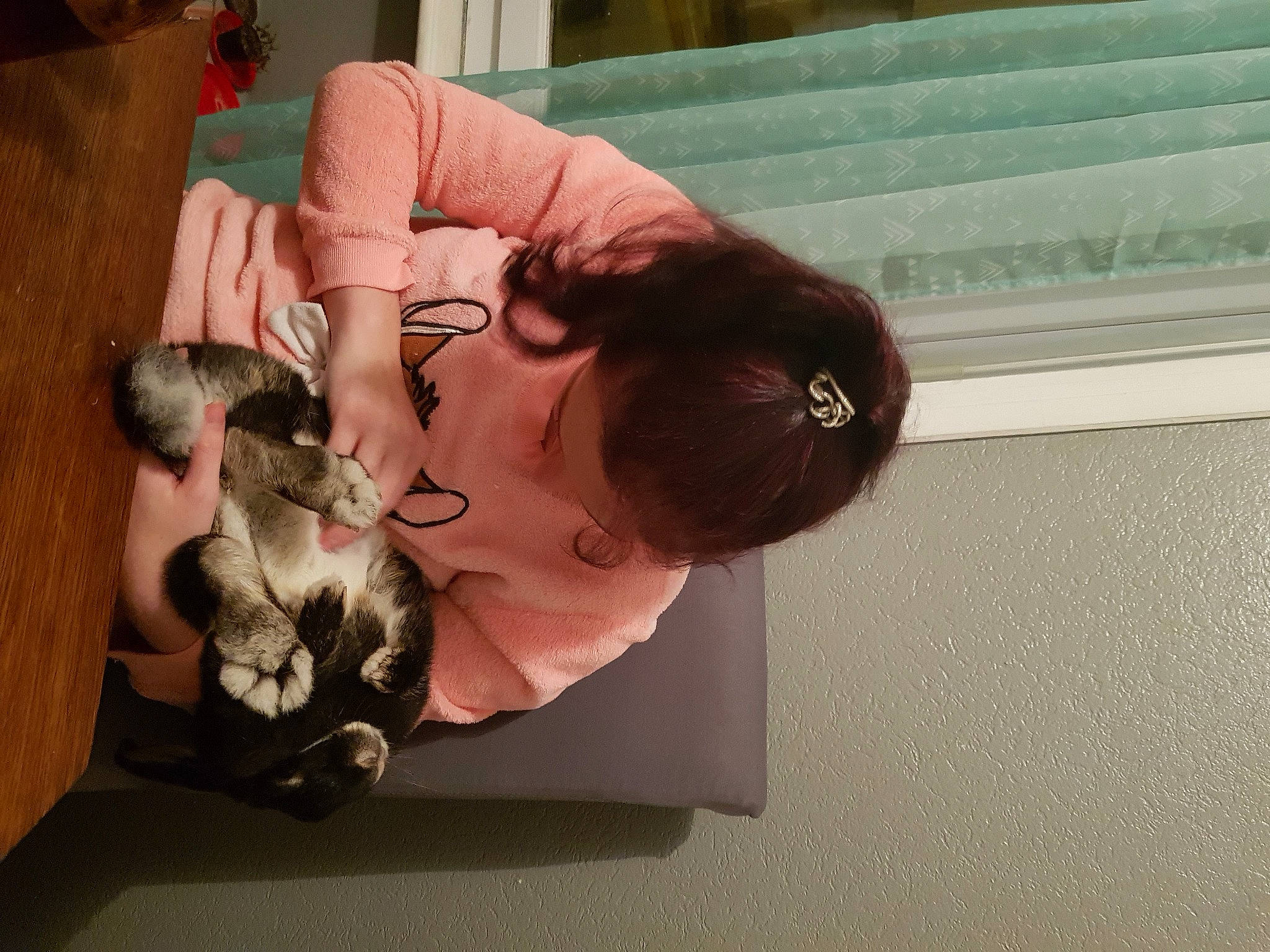 Zia a rejoint le concours — aidez-le/la à gagner de superbes lots ! cat, ear, felidae, fur, small_to_medium_sized_cats