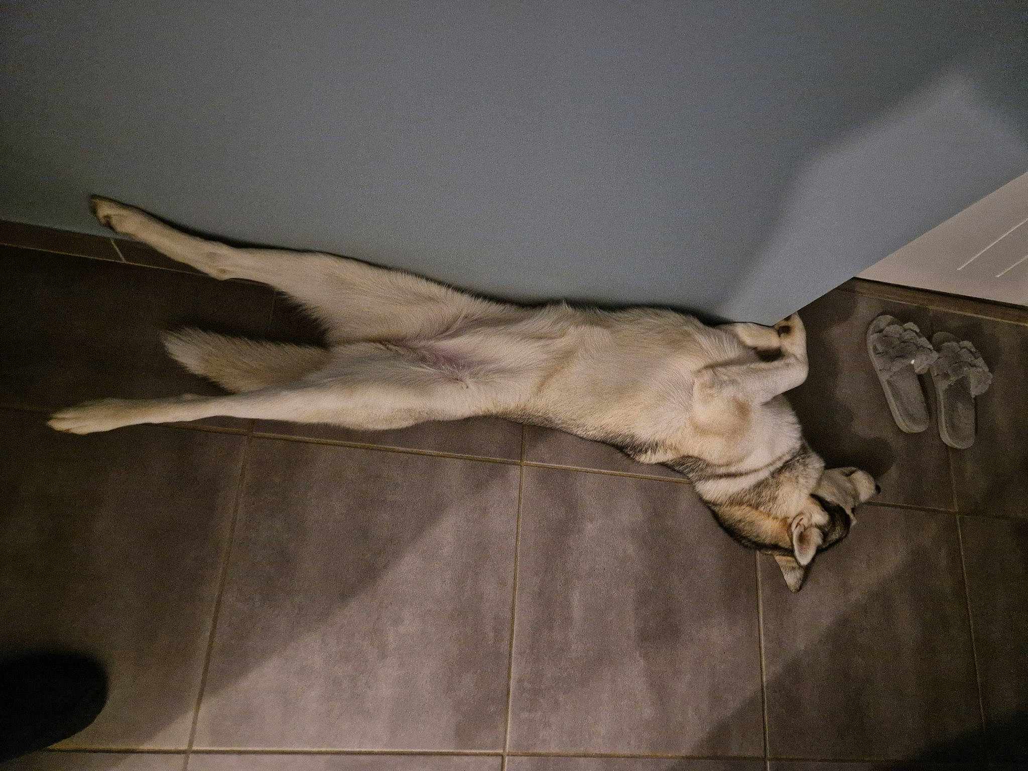 Yuma participe au concours pour gagner de l'argent avec cette photo : art, artifact, classical_sculpture, felidae, gesture, hardwood, human_leg, religious_item, room, sculpture, statue, tourist_attraction, visual_arts, wood, wrist