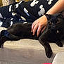 Jinx is registered to the contest to win money with this photo: black_cat, cat, pet, couch, person, hand, pajamas, patterned_clothing, indoor, relaxation, feline, curious, comfortable, domestic_animal, sofa, home, fur, resting, animal, cozy