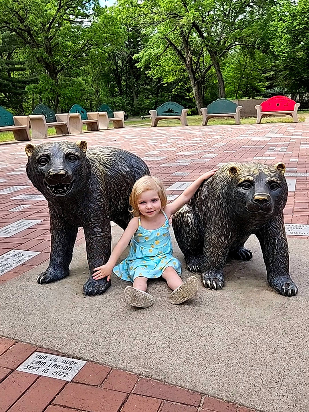 Misty is registered to the contest to win money with this photo: american_black_bear, art, beauty, fun, garden, grass, joy, leisure, mammal, nature, person, plant, recreation, sculpture, smile, snout, sporting_group, statue, terrestrial_animal, tourism