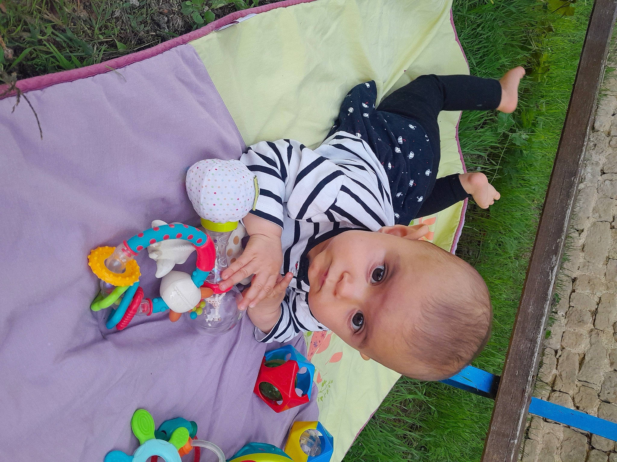 Emmy participe au concours pour gagner de l'argent avec cette photo : baby, baby_products, baby_safety, baby_toddler_clothing, baby_toys, child, comfort, fun, grass, leisure, linens, pattern, person, plant, play, product, sitting, toddler, tree, vacation