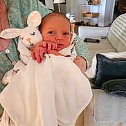 Benjamin is registered to the contest to win money with this photo: newborn, baby, blanket, plush_toy, bunny, person, hand, living_room, couch, lamp, flower_vase, basket, table, carpet, pillow, portrait, indoor, cozy, wrapped, holding