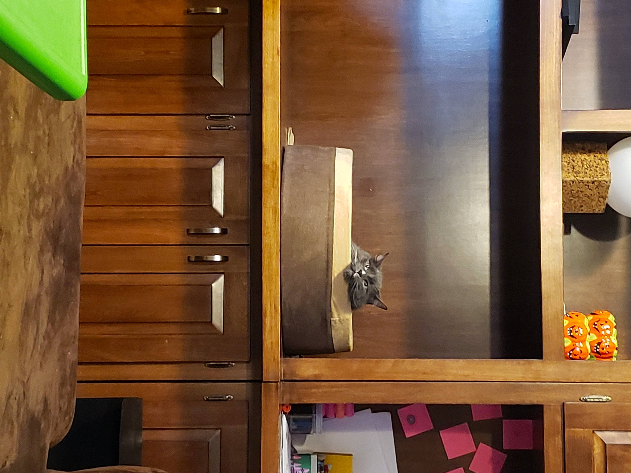 Theo is registered to the contest to win money with this photo: brown, building, cabinetry, chest_of_drawers, closet, cupboard, door, drawer, floor, flooring, furniture, hardwood, interior_design, material_property, property, shelf, shelving, wardrobe, wood, wood_stain