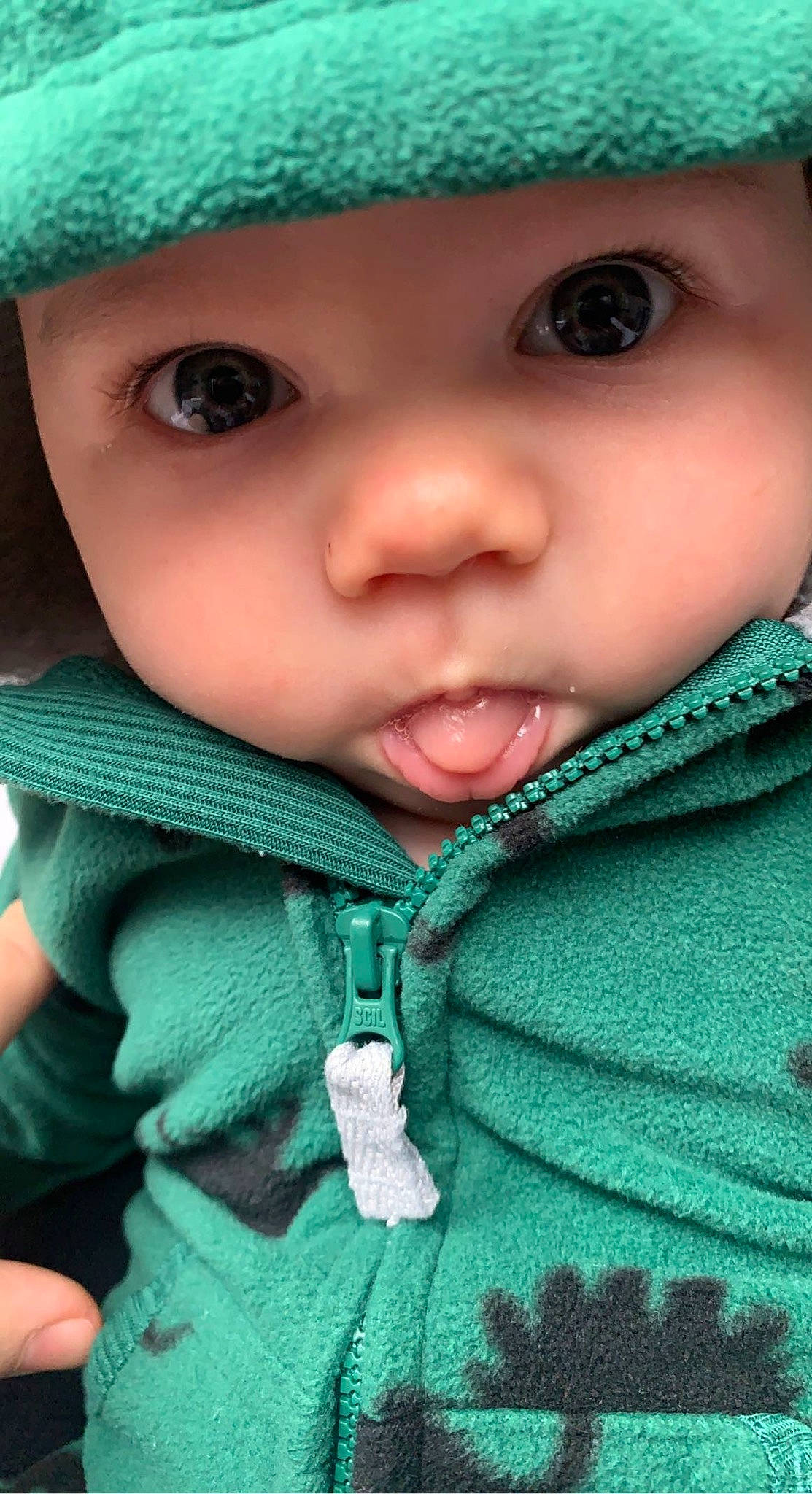 Benji joined the competition — help win amazing prizes! blue, cap, cheek, chin, eye, eyebrow, eyelash, forehead, green, headwear, iris, lip, mouth, nose, organ, outerwear, person, photograph, skin, sleeve